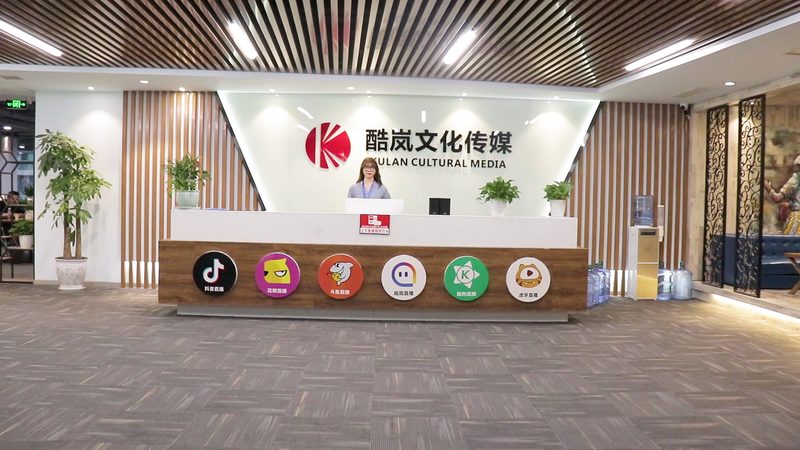 目前，抖音媒介投放服务商主要分为以下几类：
